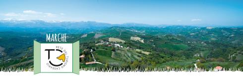 Marche