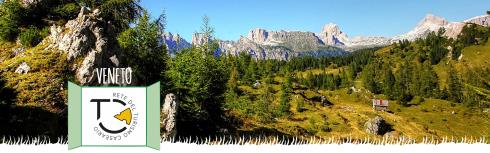 Veneto